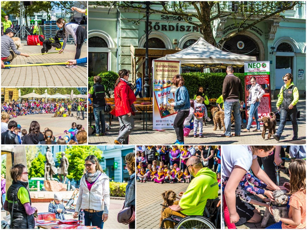 Fotó: Kohut Árpád